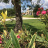 Vista con giardino