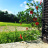 Vista con giardino