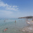 Mare