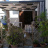terrazza con gazebo