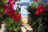 Bungalow 3sirene