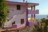 Casa Purple