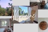 Il Glicine