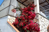 La Casa Accanto