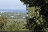 Trullo Relax