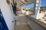Leucasia