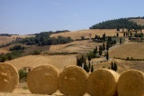 Podere Rigopesci