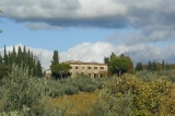 Fattoria Casa Sola