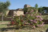 Casa Vacanze Antico Borgo Casalappi