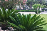 Appartamento Edoardo