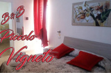 B&B Piccolo Vigneto
