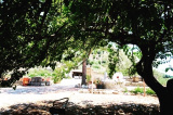La Mandria