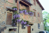 Casa Vacanze Il Glicine