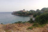 Nido del Cardellino