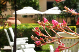 Solemare B&B-apartment